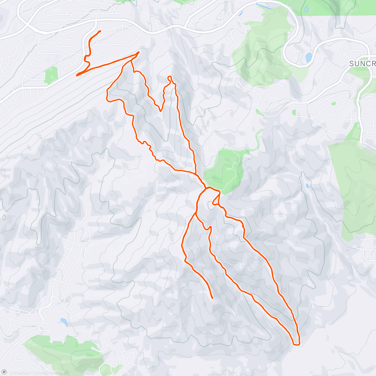 Map of the activity, Save the carrot for another day
