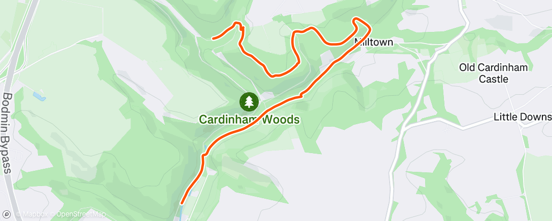 Map of the activity, Gps didn’t pick up until later annoyingly. First ‘run’ after the classic.