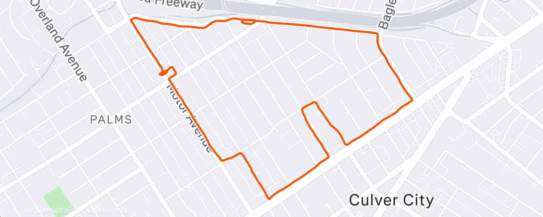 Map of the activity, Afternoon Run