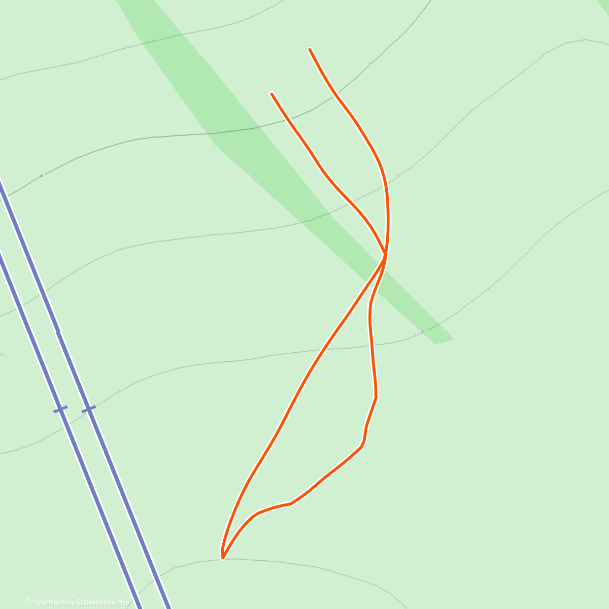 Карта физической активности (Morning Walk)