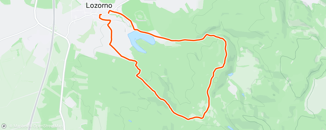 Map of the activity, Dragon oak