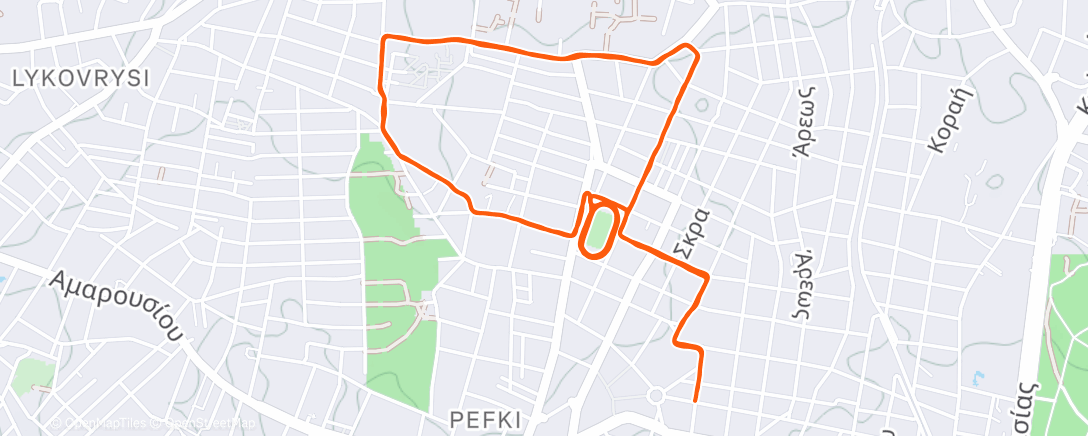 Карта физической активности (Evening Run)