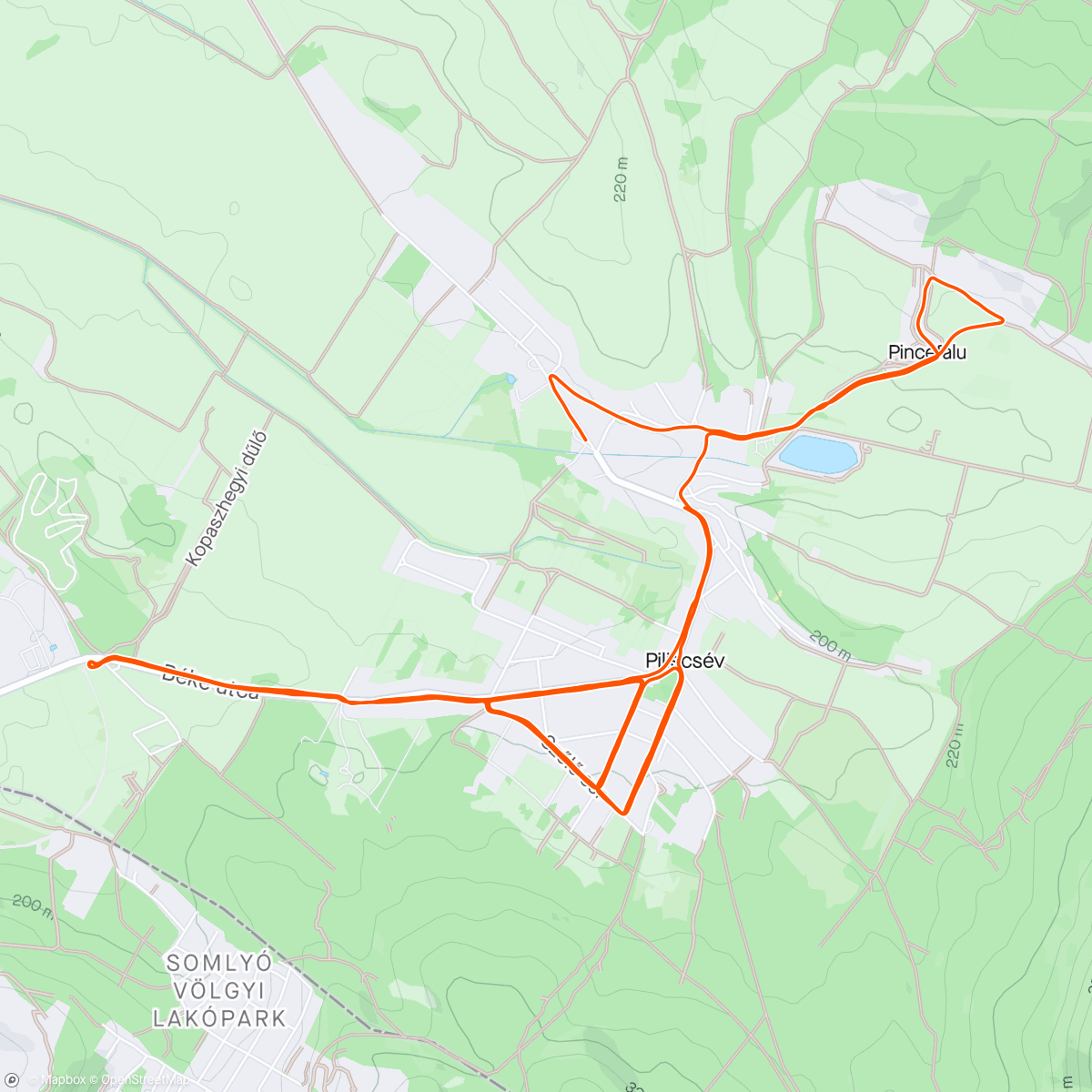 Map of the activity, Evening elevation with Salomon