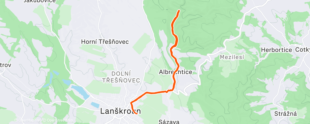 Карта физической активности (Lanškroun Run)