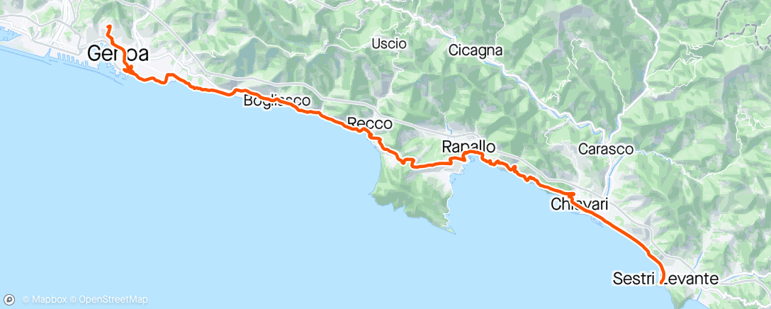 Карта физической активности (Genova Sestri L. a/r)