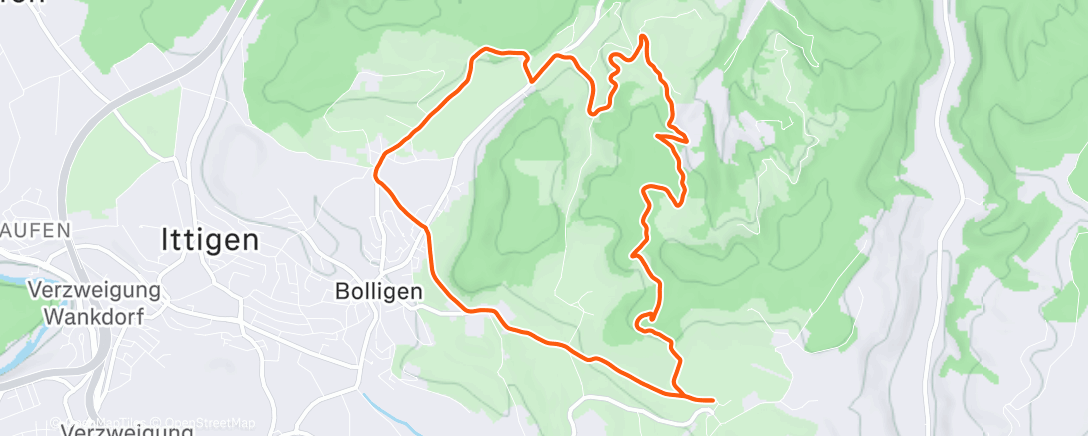 Карта физической активности (Frozen Air Sharp Minds LV95B Crew Business As Usual)