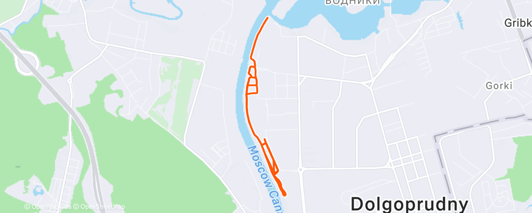 Map of the activity, Morning Run