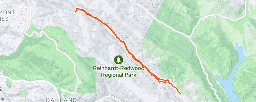 Map of the activity, Morning Hike