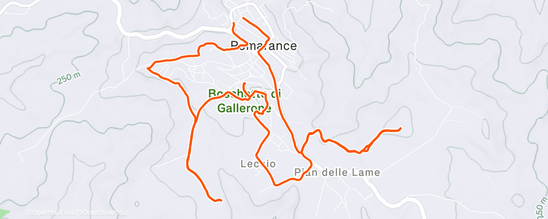 Map of the activity, Afternoon Trail Run