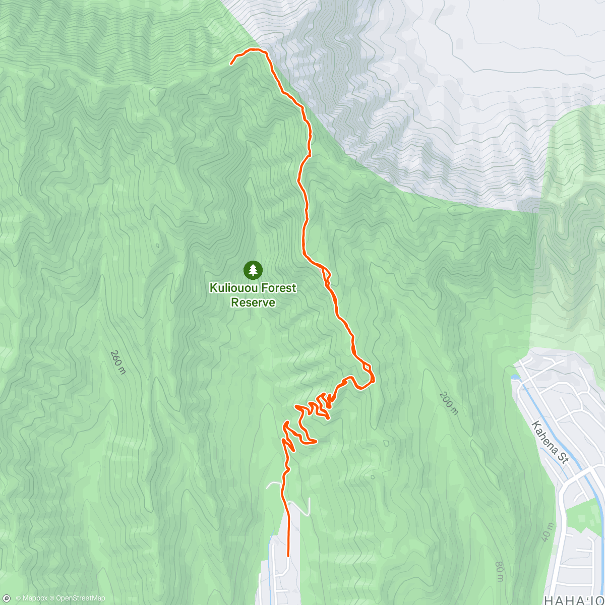 Map of the activity, Morning Trail Run