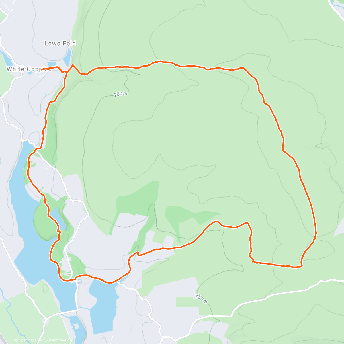 Карта физической активности (Great Hill)