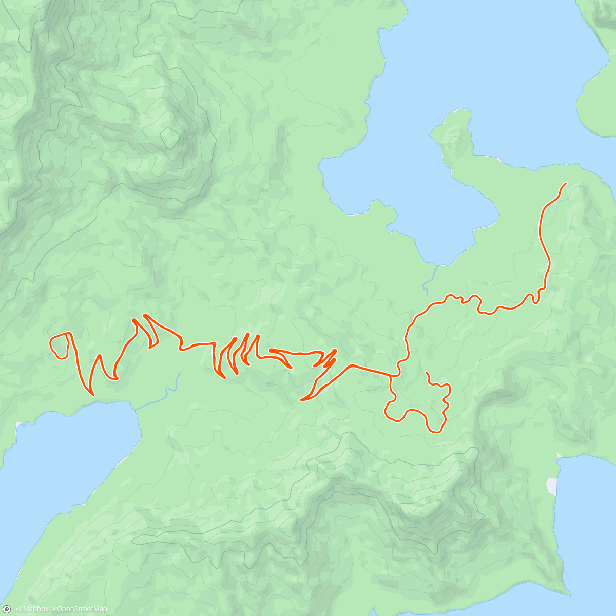 Map of the activity, Zwift - Free Ride in Watopia
