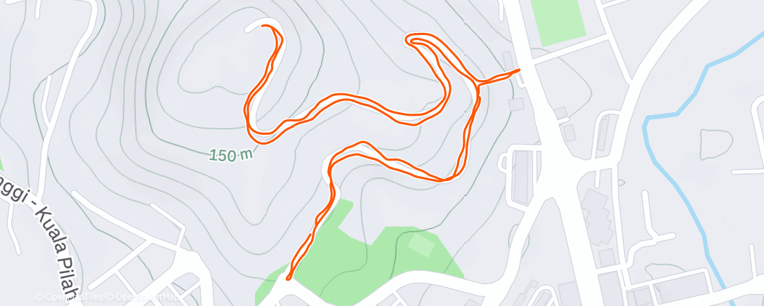 Карта физической активности (Morning Run)