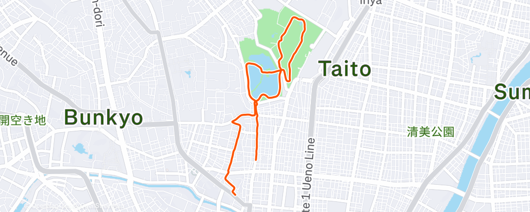 Map of the activity, Morning Run
