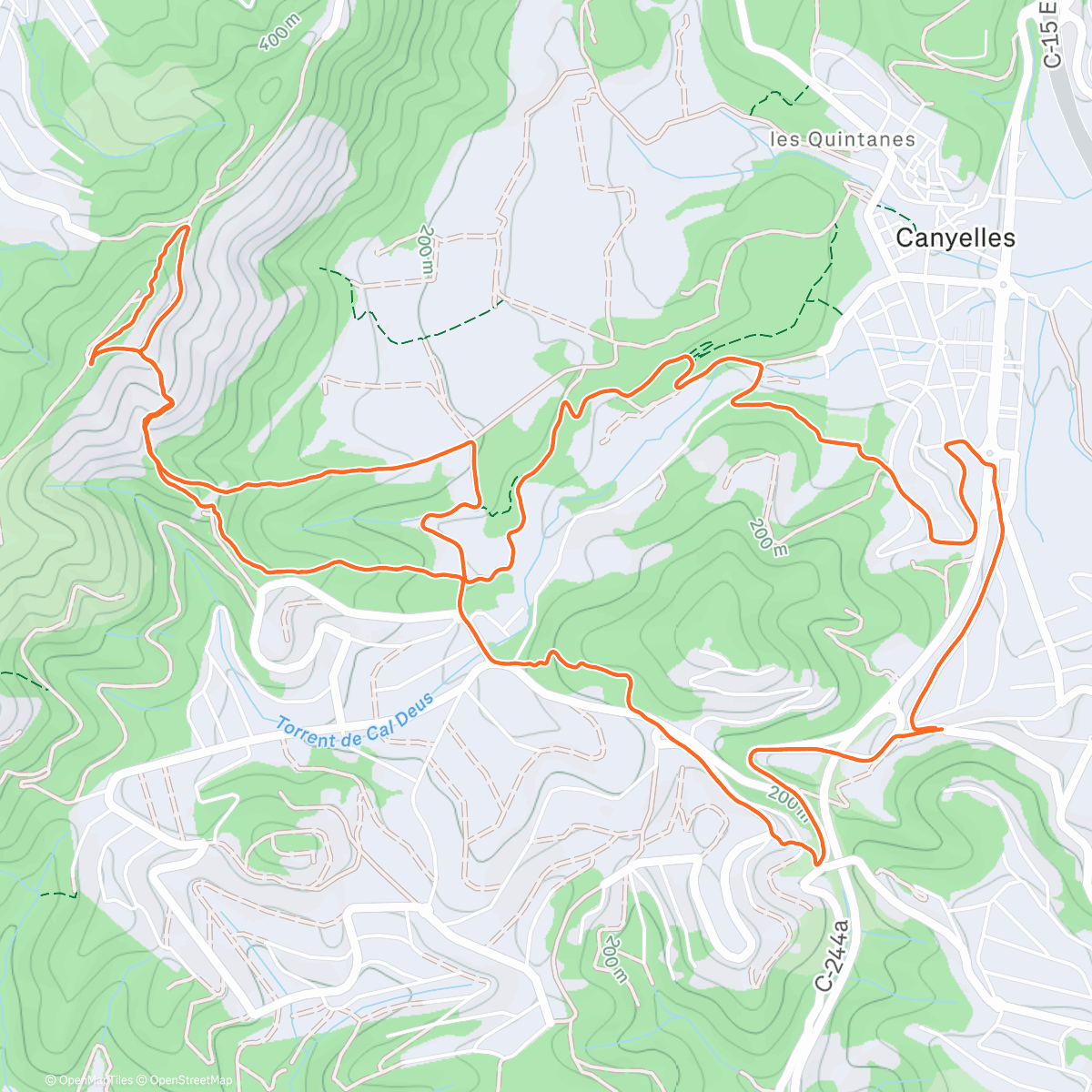 Карта физической активности (Carrera de montaña matutina
Última sortida i últim Pic de l'Àliga de l'any)