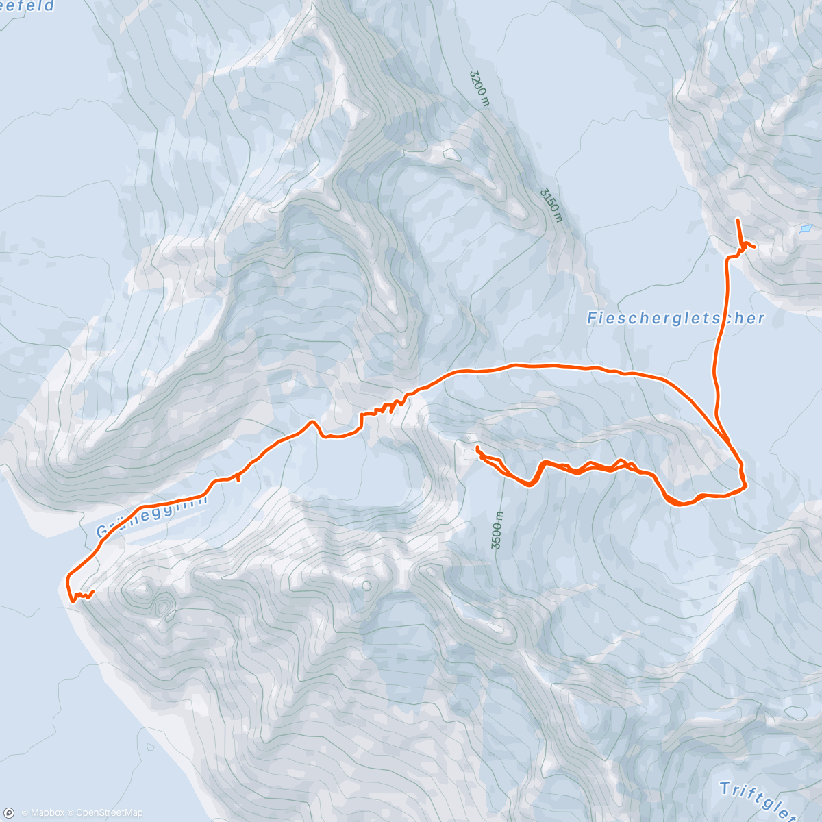 Map of the activity, Konkordia hut to Finsteraahorn hut via Wyssnollen