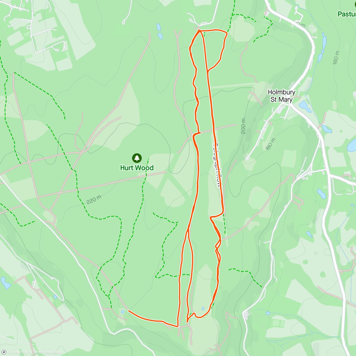 Map of the activity, Holmbury Hill Mountain Bike Ride - yoghurt pots and telegraph row x2