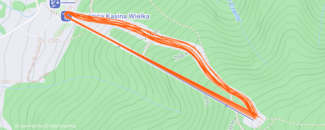 Карта физической активности (Lunch Alpine Ski)