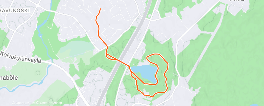 Карта физической активности (Evening Walk)