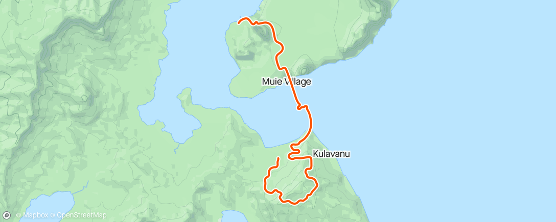 Карта физической активности (Zwift - Mountain Route in Watopia)