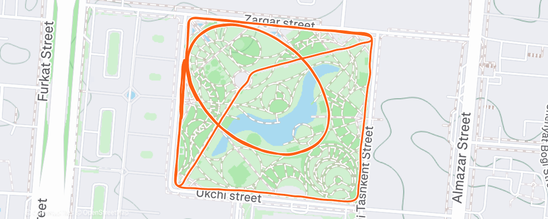 Map of the activity, Утренний забег