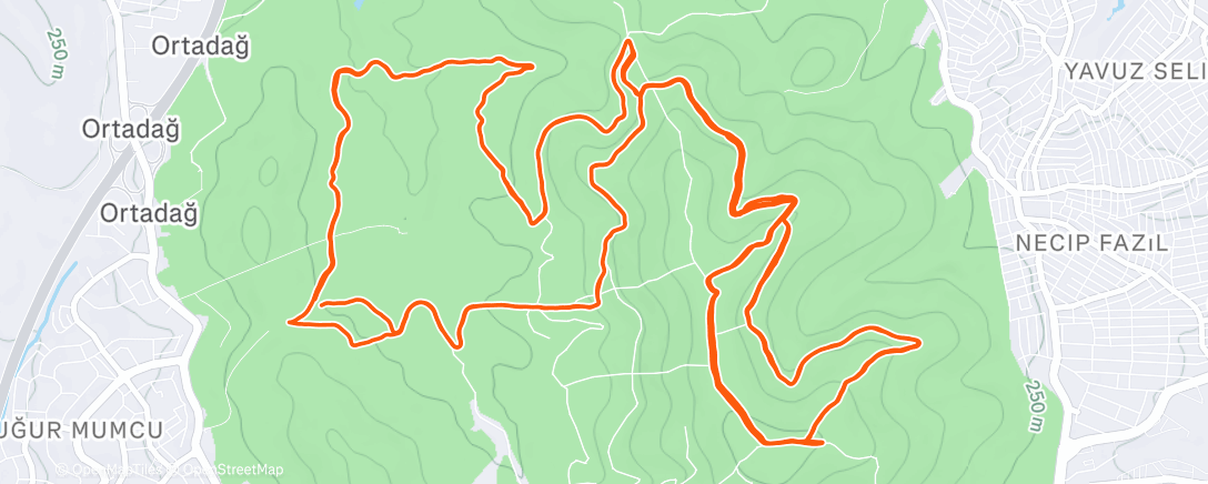Map of the activity, Morning Trail Run