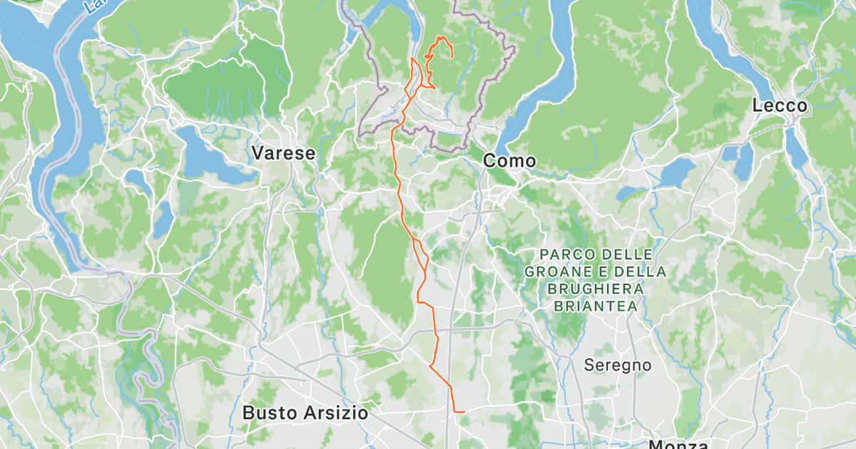 www.strava.com