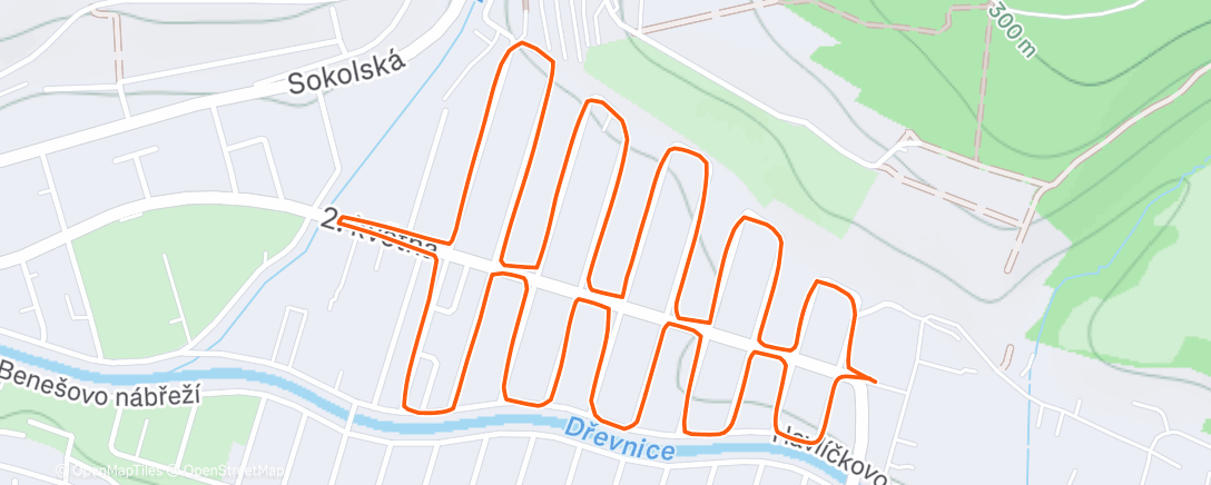 Map of the activity, Morning Run