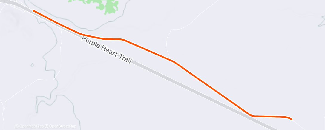 Carte de l'activité Morning Run