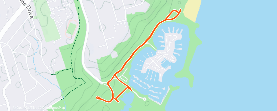 Map of the activity, A Year in Review