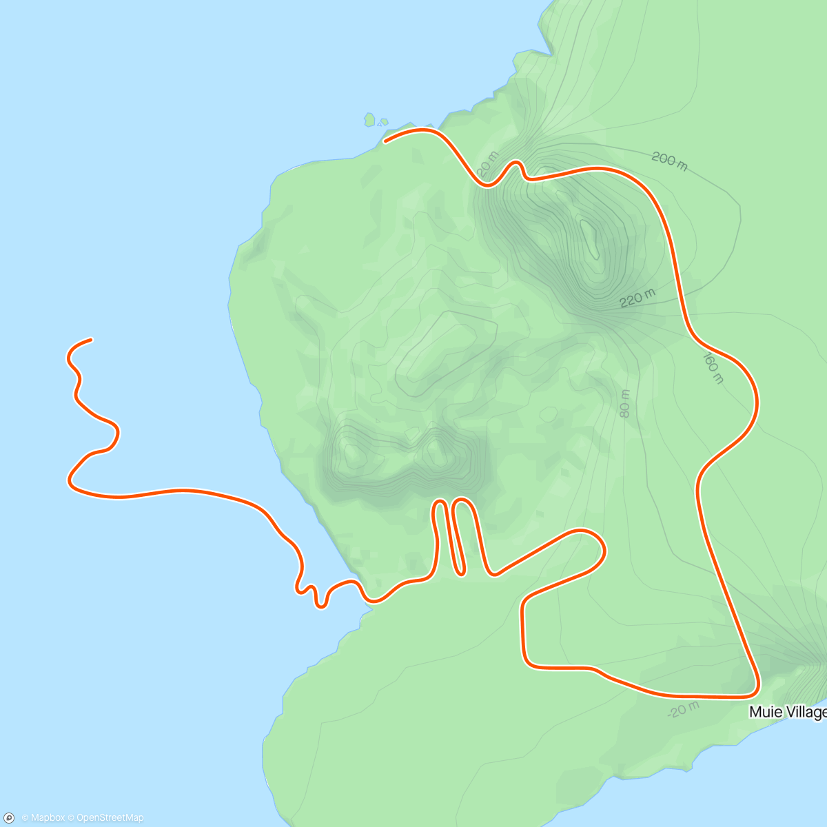 Карта физической активности (Zwift - Volcano Flat in Watopia)