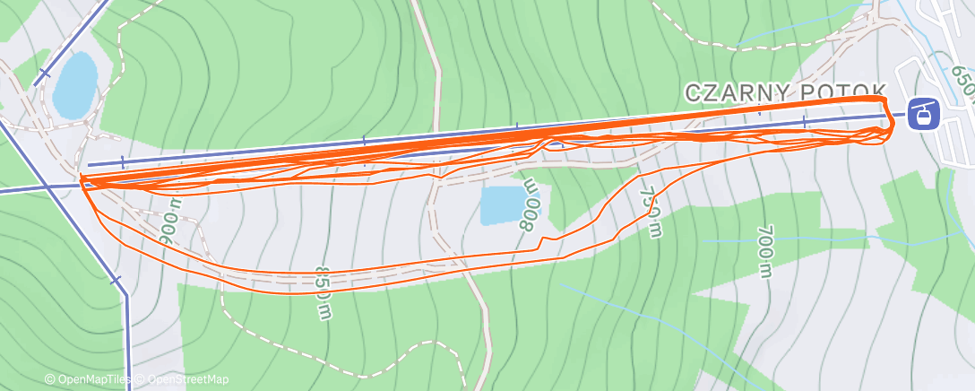 Карта физической активности (Evening Alpine Ski)