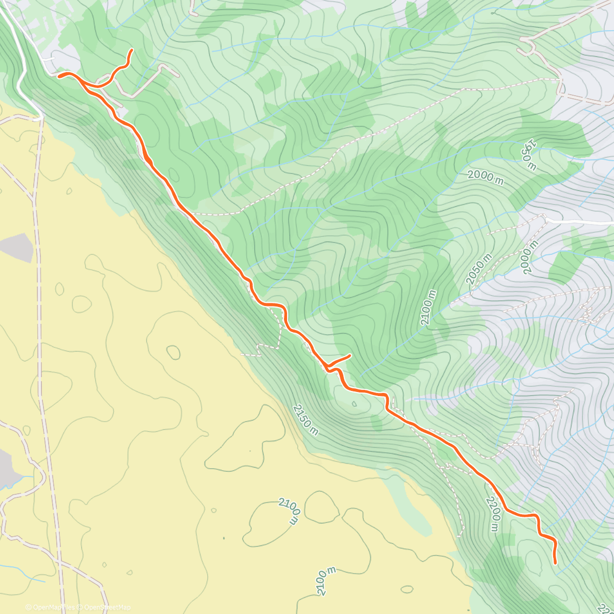 Карта физической активности (Morning Trail Run)