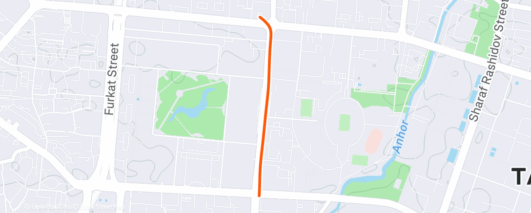 Карта физической активности (Дневной велозаезд)