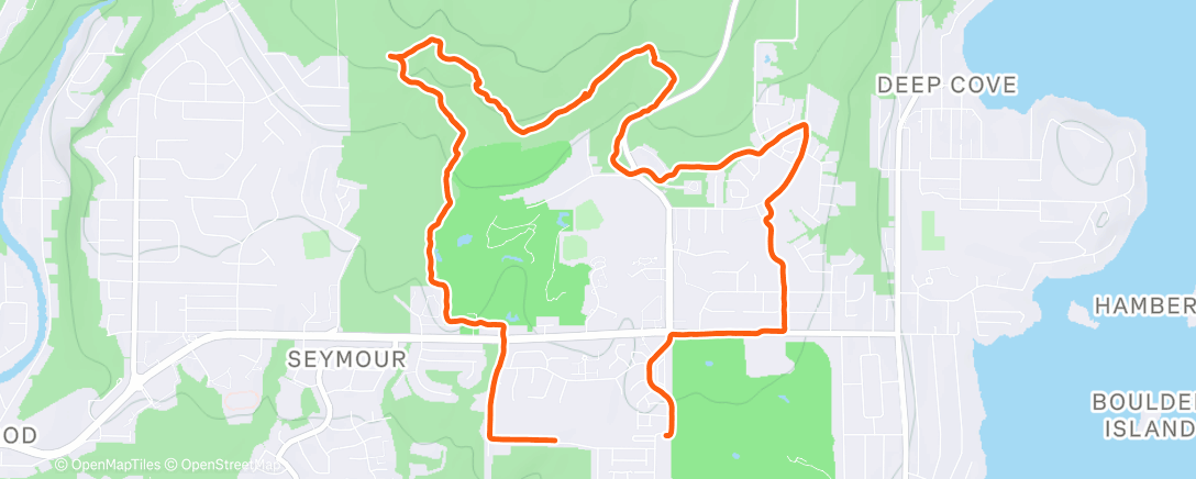 Карта физической активности (Evening Trail Run)