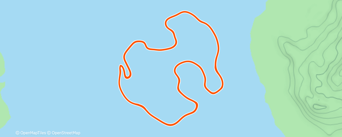 Карта физической активности (Zwift)