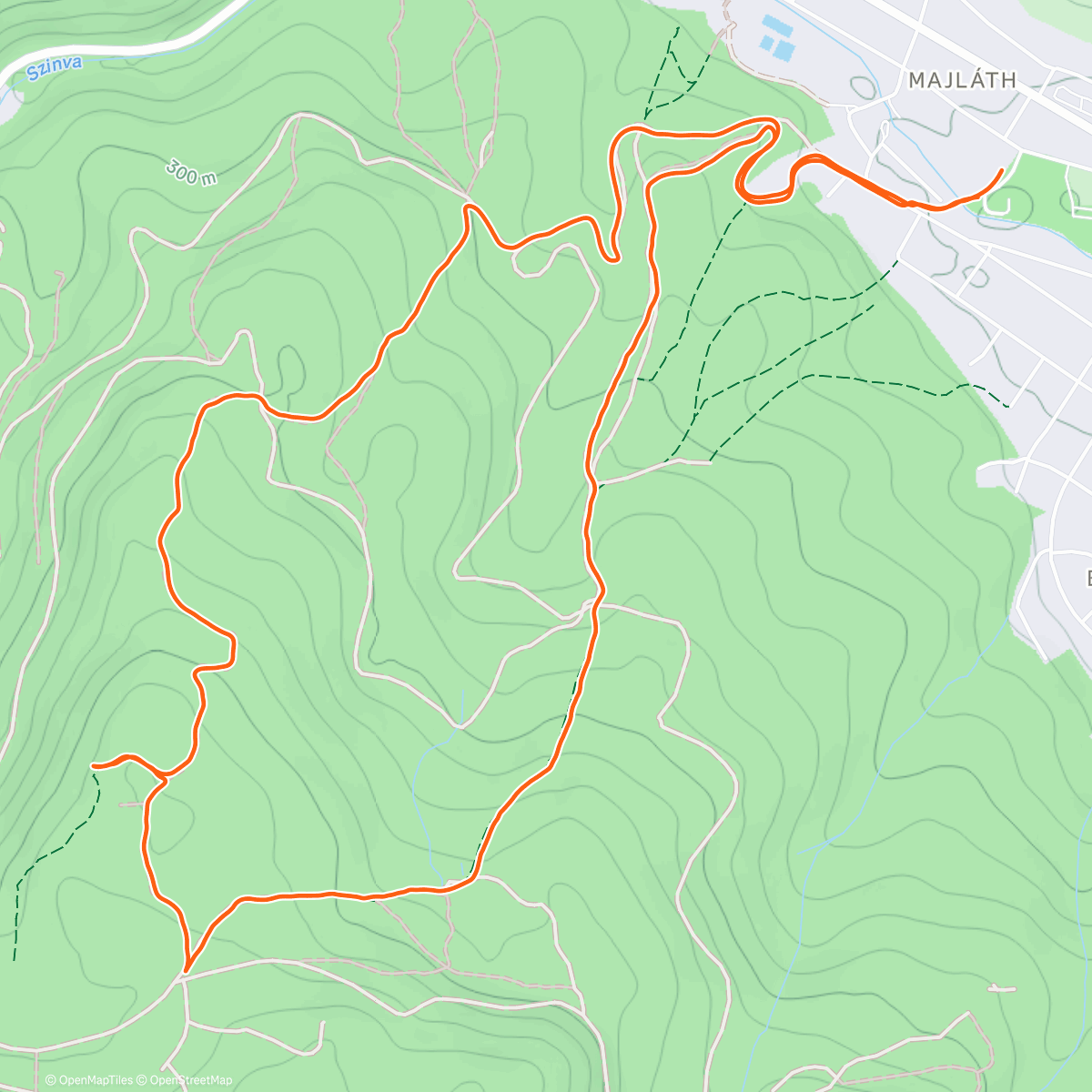 Карта физической активности (Kerti séta)