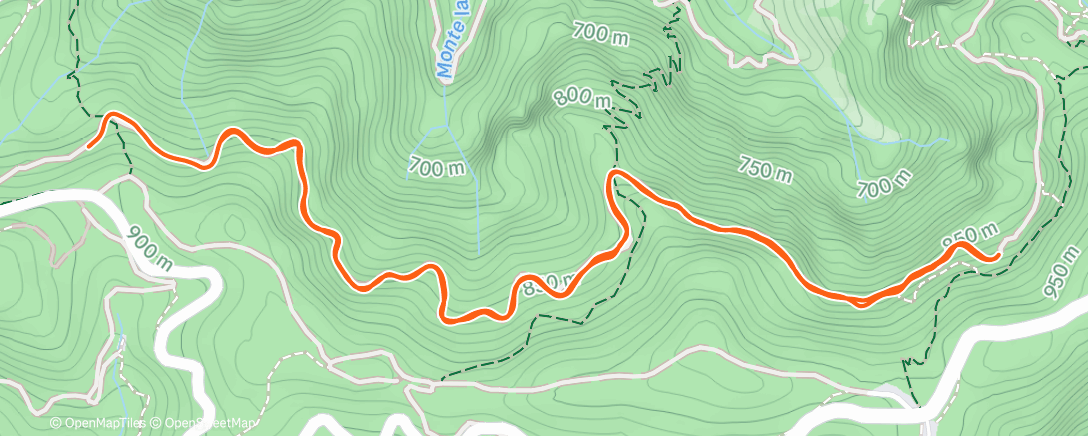 Map of the activity, Evening Run