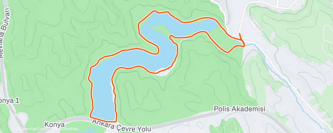 Карта физической активности (Afternoon Run)