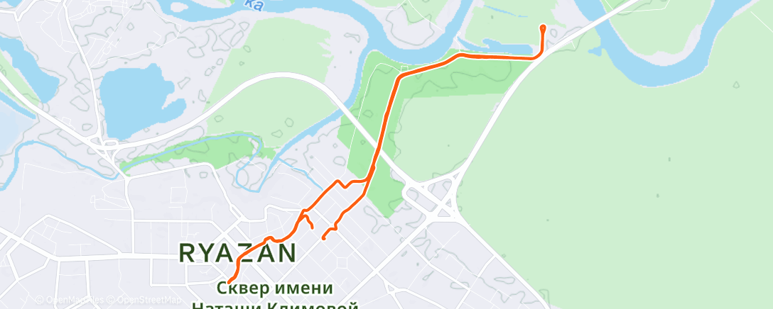 Карта физической активности (Утренний забег)