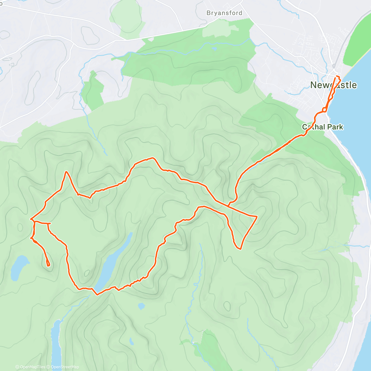 Карта физической активности (Morning Trail Run)