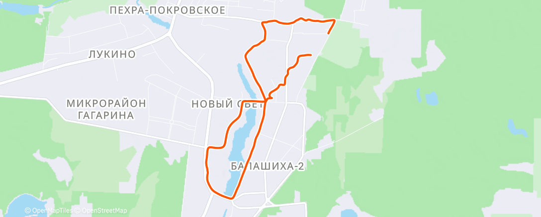 Map of the activity, Утренний забег