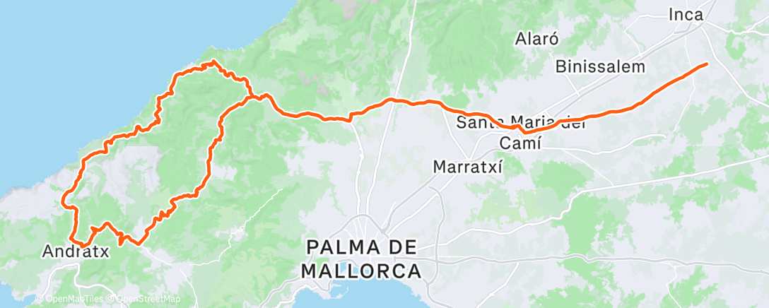 Карта физической активности (SCCC - Uncharted Stage 3 - Queen Stage)