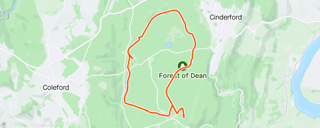 Map of the activity, Lap of the forest