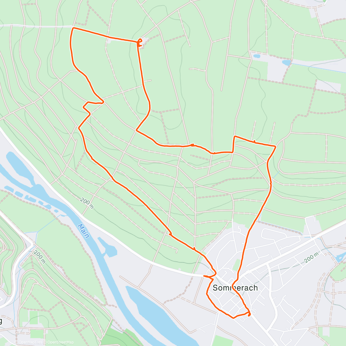 Карта физической активности (Sommerach Weinberge und Yoga-Schaukel mit Schatzi ☺️)