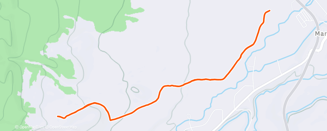 Mapa de la actividad, Dog walk