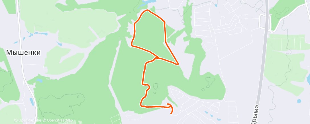 Карта физической активности (Возня в лесу классикой/дабблом)