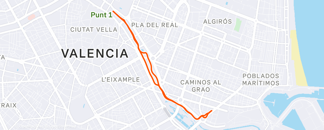 Map of the activity, Morning Run