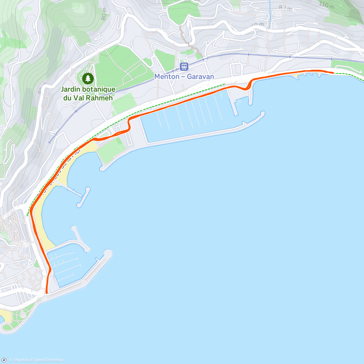 Map of the activity, REPS WORKOUT: 4x 2000m with 2’:30” walking/slow running rest 🔥