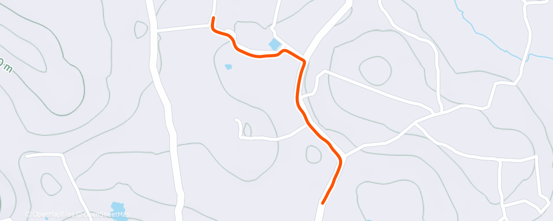 Карта физической активности (Night Walk)